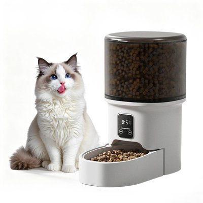 Food Storage And Container