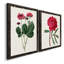 Toile encadrée rosée Blooms II-59823596-59823595-59986633