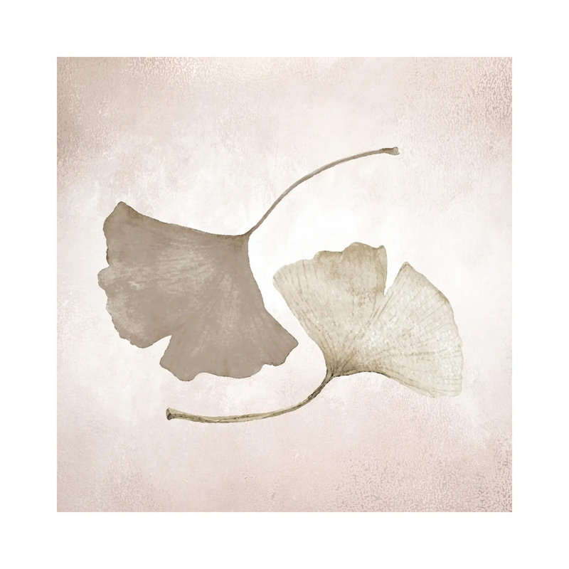 Ginkgo II by Kimberly Allen - Wrapped Canvas Print, 66.04 cm H x 66.04 cm W x 3.175 cm D