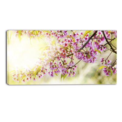 Blooming Cherry Flowers - Reproduction de photo sur toile tendue