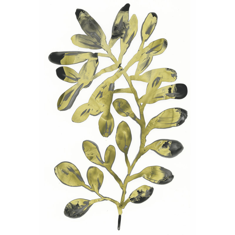 Foliage Fossil II by June Erica Vess - Wrapped Canvas Print, 46cm H x 30cm W