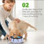 Tapis interactif pour animaux-119701753