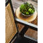 29cm Faux Succulent Plant in Stone Planter
