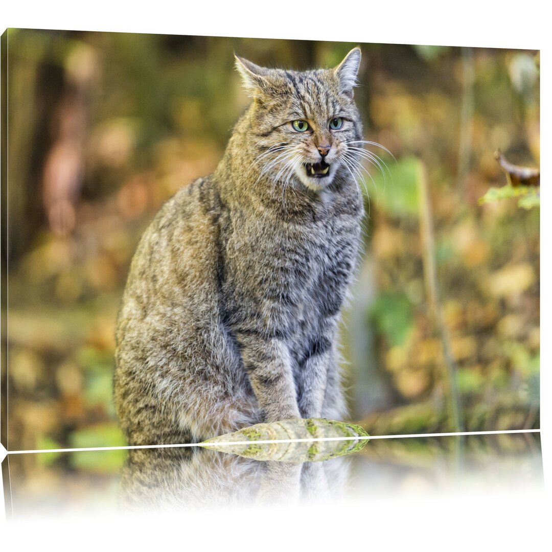 Leinwandbild Manul auf Baumstamm