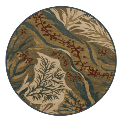 Machine Washable Nature Brown Area Rug