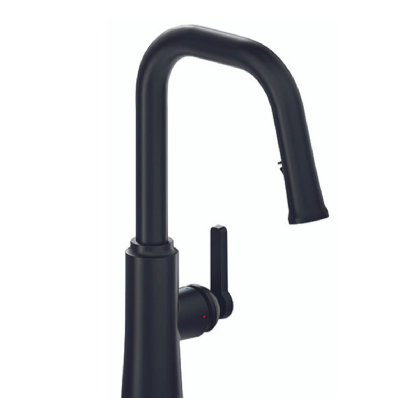 Trattoria Square Spout Kitchen Mixer, Matte Black