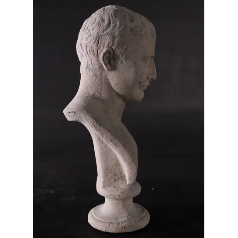 Statue de Napoléon Bonaparte