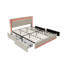 Upholstered Bed-755304651-755304649