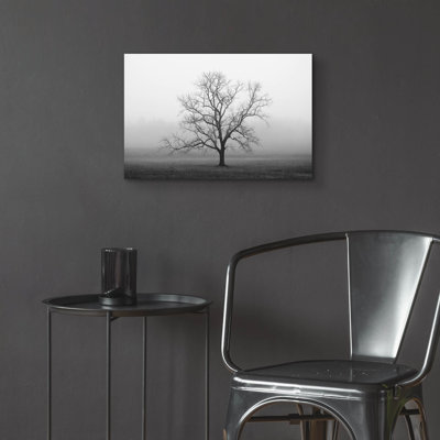"Velvet Sunrise" par Nicholas Bell, photographie
