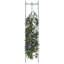 Arianys Plant Stand