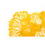 Flower Wall Décor-2034042651