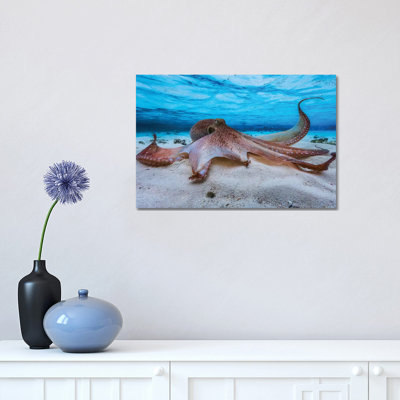 Octopus 1 Piece Wall Art on Canvas