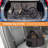 Foldable Pet Jogger Stroller with