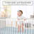 Ocean Seashells 4 Piece Crib Bedding Set