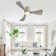 Apolino 42'' Ceiling Fan with LED Lights