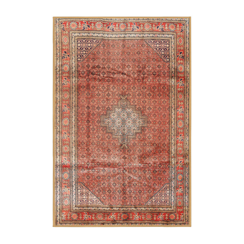 Oriental Indoor Rug, Rectangle 8' x 12'