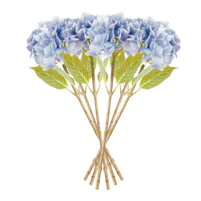 TIGES HYDRANGEA 18 po, ENSEMBLE DE 6