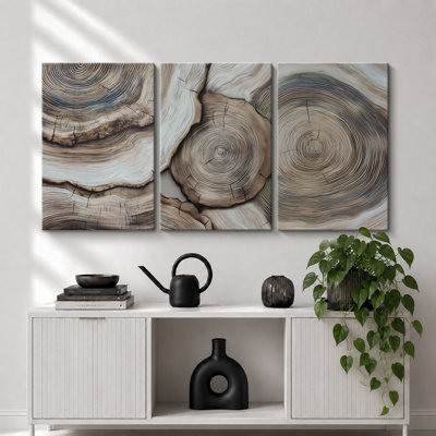 Natural Wood Tree Rings Rustic Organic Artwork, Farmhouse Nature Pattern Pictures, Framed Canvas Giclee Print 3 Pieces Wall Art
