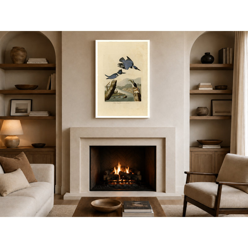 Martin-pêcheur ceinturé (1827) - Portrait, art mural sur toile, 18" W x 12" H