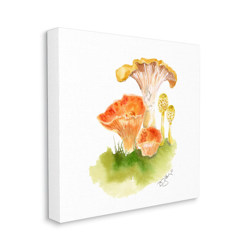 Mélange d'aquarelle de champignons sur toile, H 17 po x l 17 po x P 1,5 po
