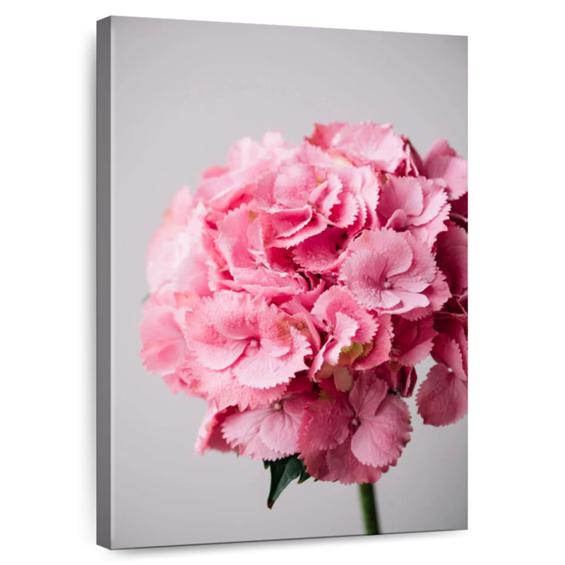 Pink Hydrangea, 24" H x 16" W