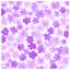 Jeté en molleton Fleurs - Jeté floral pour canapés ou lits-122890663-122915930