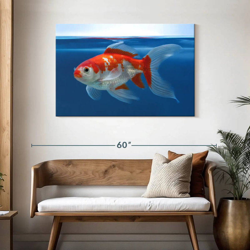 Aquarium Brampt Shubunkin poisson rouge, H 30 po x l 45 po