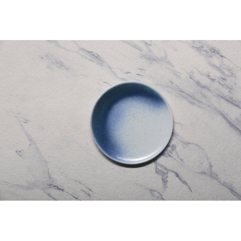Assiette en porcelaine LIR Premium | Assiette surélevée vitale, | Va au micro-ondes et au lave-vaisselle