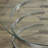 Telly Glass Top Coffee Table