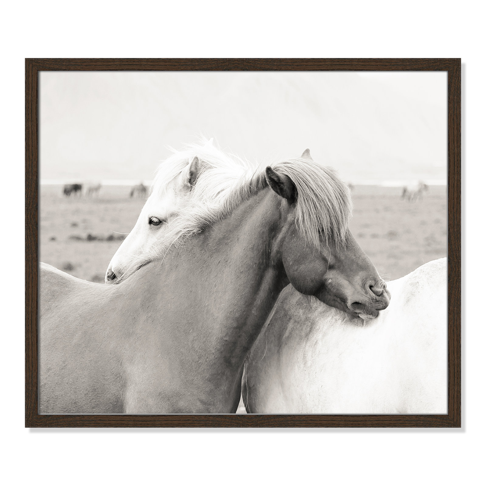 Melanie "Icelandic Meadow Horses" Print, 21.5" H x 25.5" W x 0.75" D, Walnut Wood Grain Framed