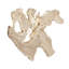 Terrains Solid Wood Wall Decor