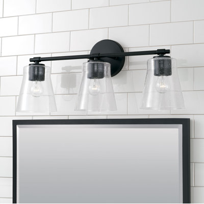 3 - Light Dimmable Vanity Light