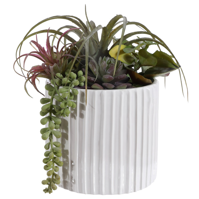 9.45'' Faux Succulent Plant in Freestanding