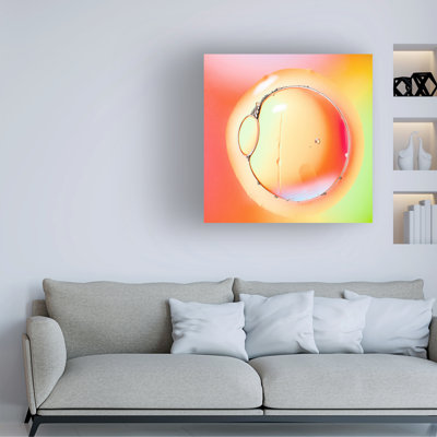 Art sur toile Alessandro Zocchi