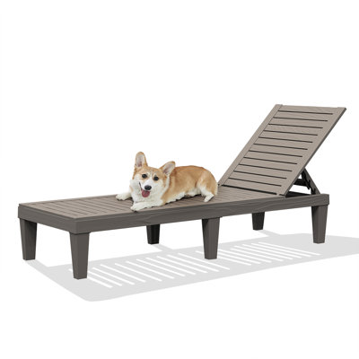 Outdoor Chaise Lounge by Winston Porter