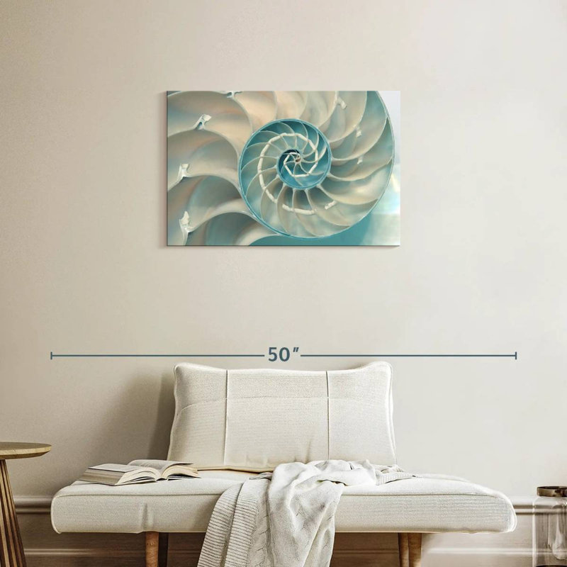 À l'intérieur d'une coquille Nautilus, H 20 po x l 30 po
