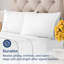 100% Cotton Pillowcase Set, 400 Thread Count Hotel Luxury Pillowcases, Soft & Breathable, Set of 2-106537246-106537247