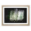 Bird Flying By The Waterfall - Single Picture Frame Print on MDF-56890869-56890863