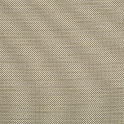Primotex Bk Fabric