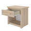 Roiguez 54cm W Manufactured Wood Bedside Table-1572988922