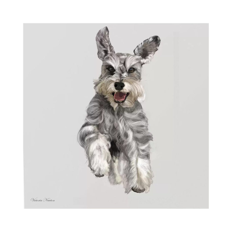 Schnauzer by Vicki Newton - Wrapped Canvas Print, 93.98 cm H x 93.98 cm W x 1.91 cm D