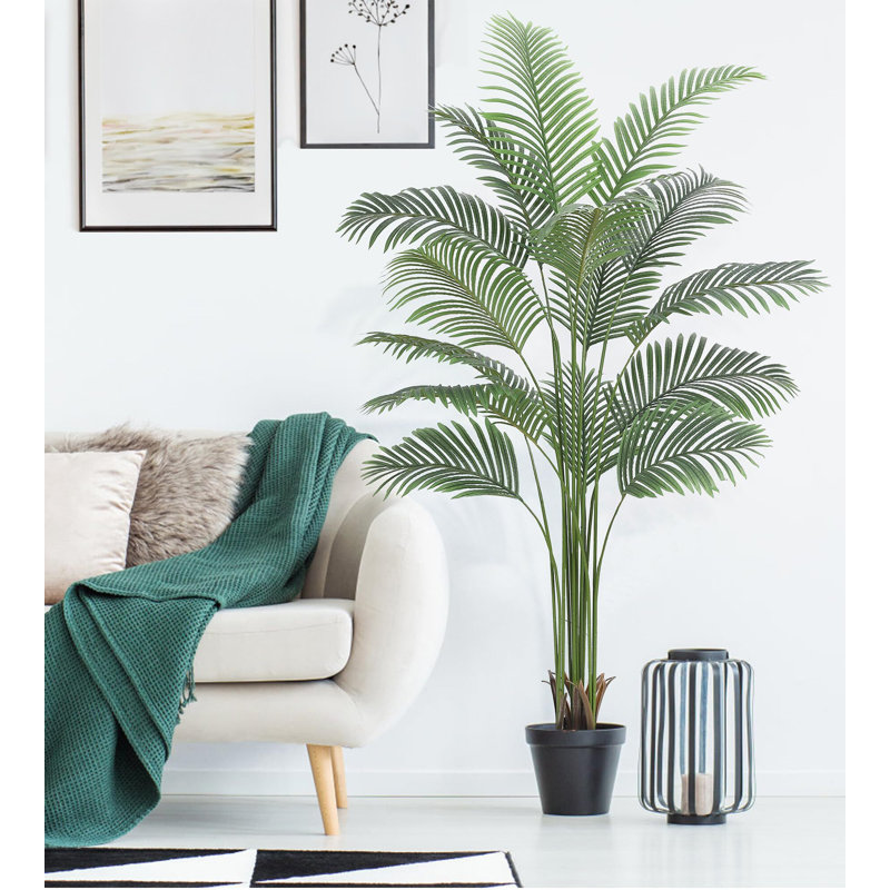84 plantes