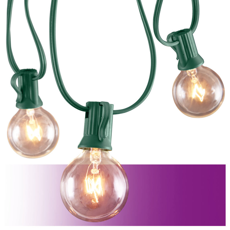 Burroughs 25' Outdoor Plug-in 25 - Bulb Globe String Light, Green