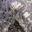Tapis à poil long Serenity-1145686289