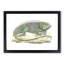 Iguana by George Shaw - Framed Print-55642040-55642043