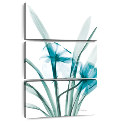Harnek Aqua Dedroduim Orchid