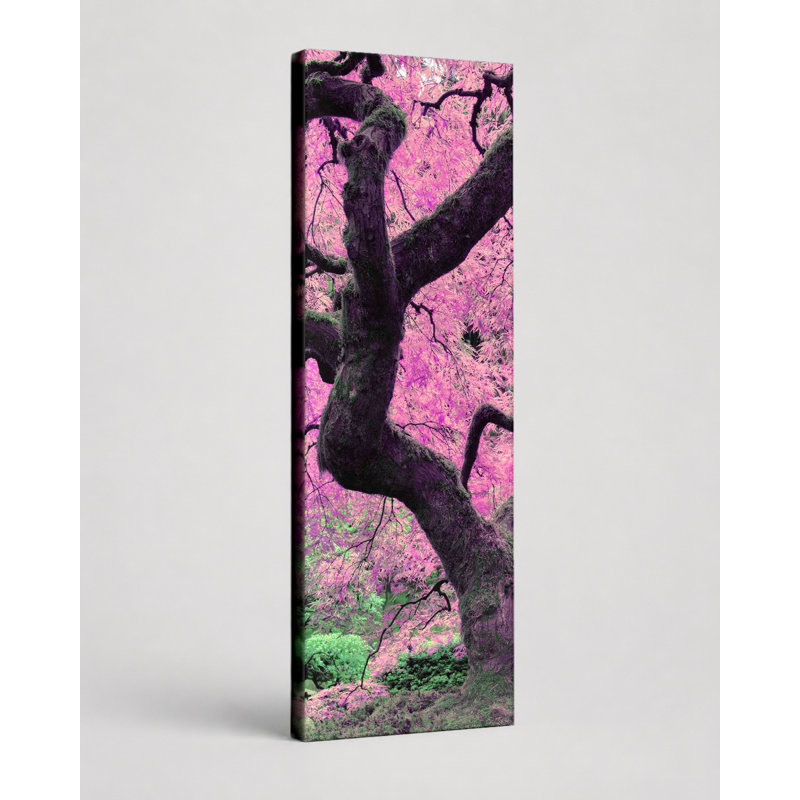 Érable japonais rose - art mural sur toile, 10" W x 30" H