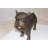 Kerensa Terrier Dog Statue