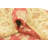 Parnell Red Rug