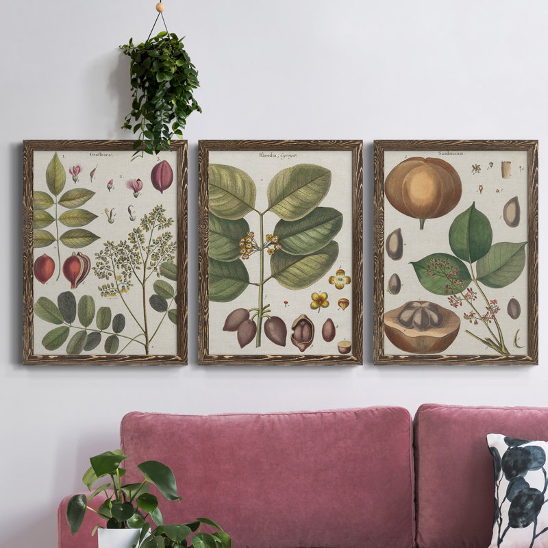 Exotic Botanique I - Ensemble de 3 peintures sur toile encadrées, Noyer, H 43,5 po x l 31,5 po x P 1 po